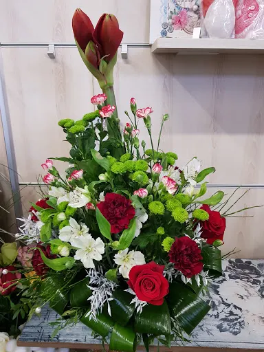 Kwiaciarnia Stokrotka